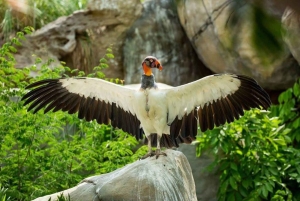Cartagena: Ecoplan no Barú, Aviário e Oceanário em um dia