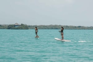 Cartagena: Efoil Fliteboard Experience BARÚ