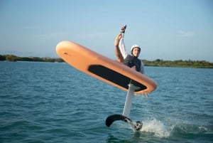 Cartagena: Efoil Fliteboard Experience BARÚ