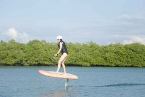 Cartagena: Efoil Fliteboard Experience BARÚ