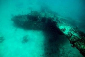Cartagena: 5 Rosario Islands Tour with snorkeling + plankton