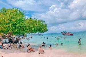 Cartagena: 5 Rosario Islands Tour with snorkeling + plankton