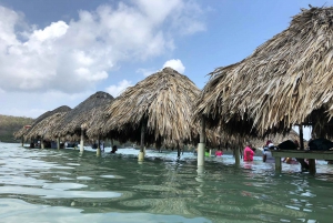 Cartagena: 5 Rosario Islands Tour with snorkeling + plankton