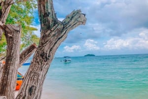 Cartagena: 5 Rosario Islands Tour with snorkeling + plankton