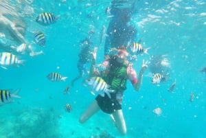 Cartagena: 5 Rosario Islands Tour with snorkeling + plankton