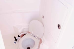 Cartagena: TOUR PRIVATE to the Rosario Islands in boat