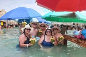 Cartagena: TOUR PRIVATE to the Rosario Islands in boat