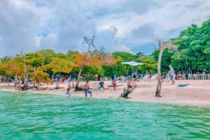 Cartagena: TOUR PRIVATE to the Rosario Islands in boat