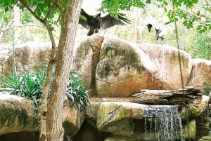 CARTAGENA: EXCURSIÓN Baru + Aviario ( no incluye entrada) + almuerzo