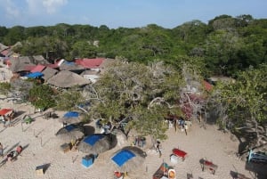 CARTAGENA: EXCURSIÓN Baru + Aviario ( no incluye entrada) + almuerzo