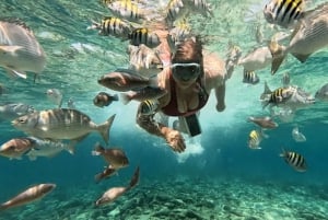 Kartagena: Wycieczka na wyspy Rosario i Playa Blanca z nurkowaniem z rurką lub akwarium