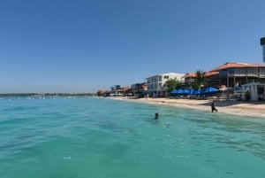 Kartagena: Wycieczka na wyspy Rosario i Playa Blanca z nurkowaniem z rurką lub akwarium