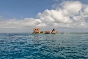 Kartagena: Wycieczka na wyspy Rosario i Playa Blanca z nurkowaniem z rurką lub akwarium