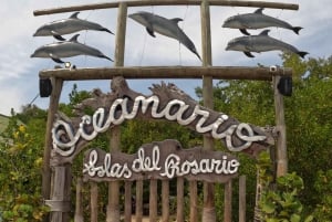 Kartagena: Wycieczka na wyspy Rosario i Playa Blanca z nurkowaniem z rurką lub akwarium