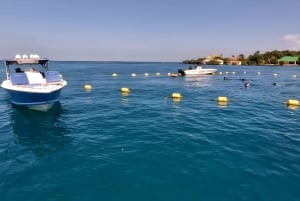 Kartagena: Wycieczka na wyspy Rosario i Playa Blanca z nurkowaniem z rurką lub akwarium