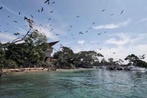 Kartagena: Wycieczka na wyspy Rosario i Playa Blanca z nurkowaniem z rurką lub akwarium