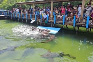 Kartagena: Wycieczka na wyspy Rosario i Playa Blanca z nurkowaniem z rurką lub akwarium