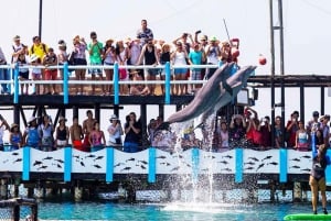 Kartagena: Wycieczka na wyspy Rosario i Playa Blanca z nurkowaniem z rurką lub akwarium