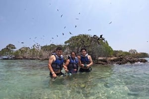 Kartagena: Wycieczka na wyspy Rosario i Playa Blanca z nurkowaniem z rurką lub akwarium