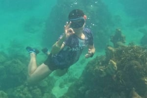 Kartagena: Wycieczka na wyspy Rosario i Playa Blanca z nurkowaniem z rurką lub akwarium