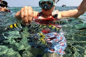 Kartagena: Wycieczka na wyspy Rosario i Playa Blanca z nurkowaniem z rurką lub akwarium