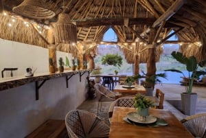 Kartagena: Wycieczka na wyspy Rosario i Playa Blanca z nurkowaniem z rurką lub akwarium