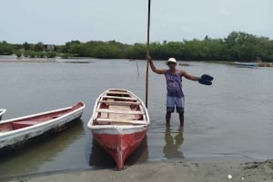 Cartagena: FISHERMEN'S ISLAND + MANGROVES by canoe