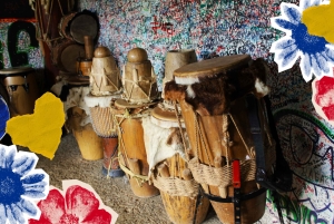 Картахена: однодневный тур в небольшой группе в Паленке, объект всемирного наследия ЮНЕСКО