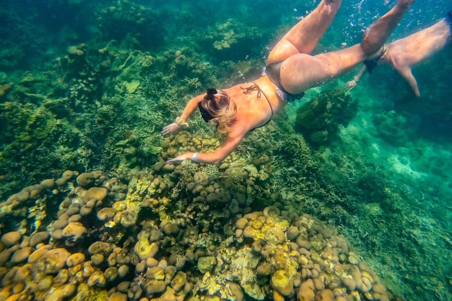 Cartagena: een hele dag sportboottocht naar 5 Rosario-eilanden