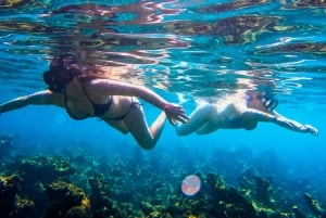 Cartagena: een hele dag sportboottocht naar 5 Rosario-eilanden