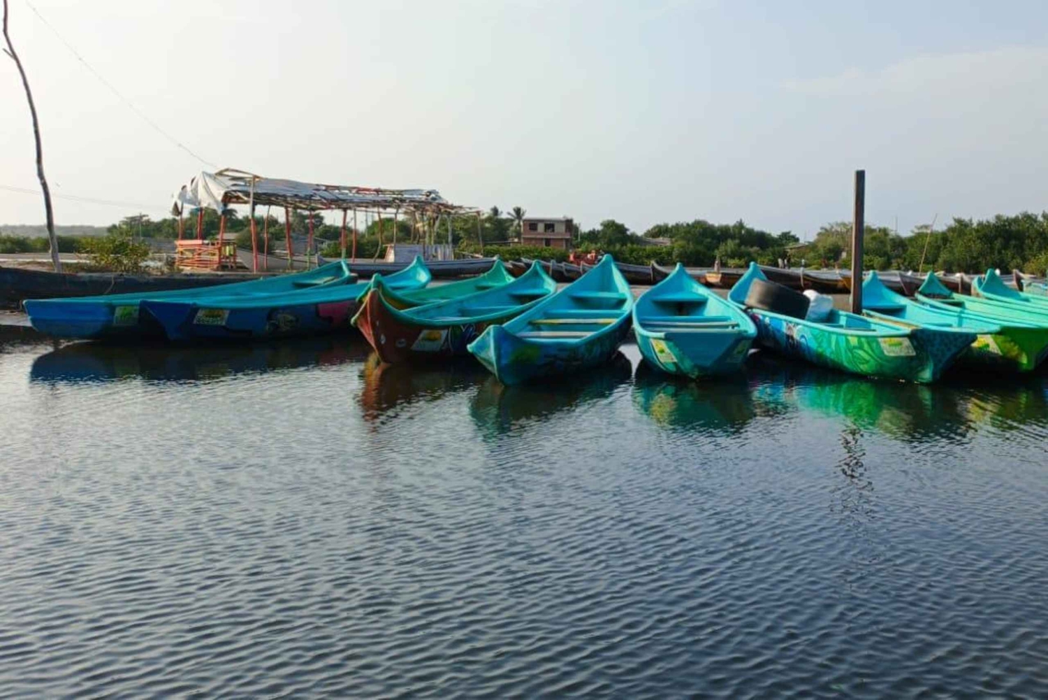 Kartagena: warsztaty rzemieślnicze z wykorzystaniem łusek i kokosa prowadzone przez lokalne rzemieślniczki