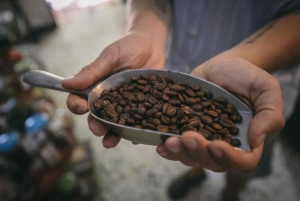 Cartagena: History of Coffee and Preparation Masterclass