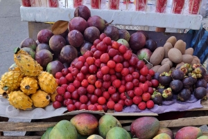 Historisk tur i Cartagena: Promenera runt på torgen och kyrkorna