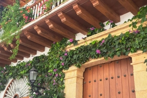 Historisk tur i Cartagena: Promenera runt på torgen och kyrkorna