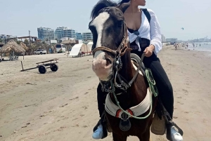 Cartagena: Horse riding on the beaches of Cartagena & PHOTOS