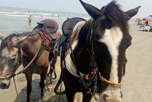 Cartagena: Horse riding on the beaches of Cartagena & PHOTOS