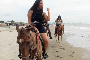 Cartagena: Horse riding on the beaches of Cartagena & PHOTOS