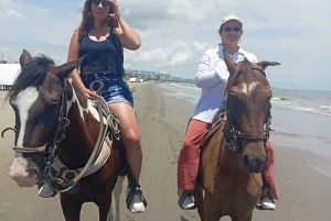 Cartagena: Horse riding on the beaches of Cartagena & PHOTOS