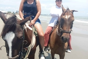Cartagena: Horse riding on the beaches of Cartagena & PHOTOS