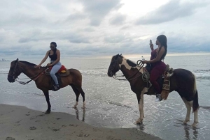 Cartagena: Horse riding on the beaches of Cartagena & PHOTOS