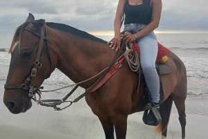 Cartagena: Horse riding on the beaches of Cartagena & PHOTOS