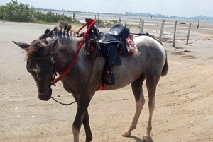 Cartagena: Horse riding on the beaches of Cartagena & PHOTOS