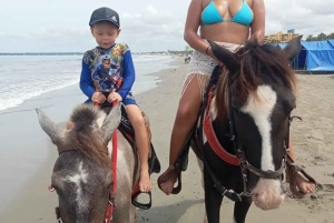Cartagena: Horse riding on the beaches of Cartagena & PHOTOS
