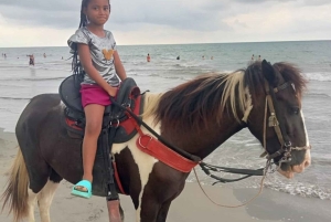 Cartagena: Horse riding on the beaches of Cartagena & PHOTOS