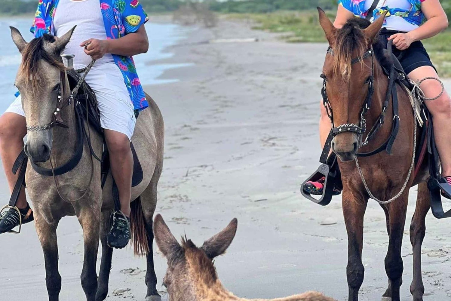 Cartagena: Utflukt på hesteryggen på stranden