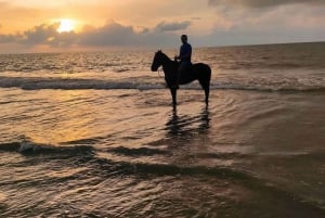 Cartagena: Excursión a Caballo por la Playa