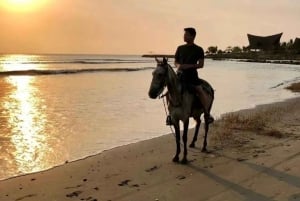 Cartagena: Utflukt på hesteryggen på stranden