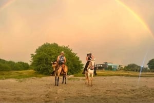 Cartagena: Utflukt på hesteryggen på stranden