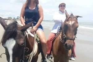 Cartagena: Horse riding on the beaches of Cartagena & PHOTOS