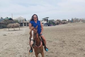 Cartagena: Horse riding on the beaches of Cartagena & PHOTOS